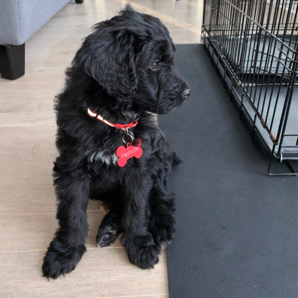 Meet your Posher, Steph - Picture 1 of 1